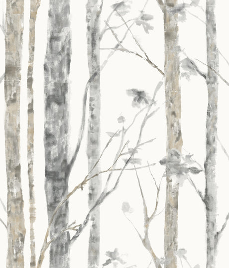 Birch Trees Brown Peel and Stick Wallpaper by RoomMates - RMK9047WP