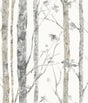 Birch Trees Brown Peel and Stick Wallpaper by RoomMates - RMK9047WP