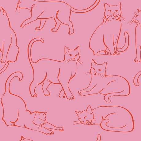 Cat Poses Pink Peel and Stick Wallpaper by RoomMates - RMWS1277