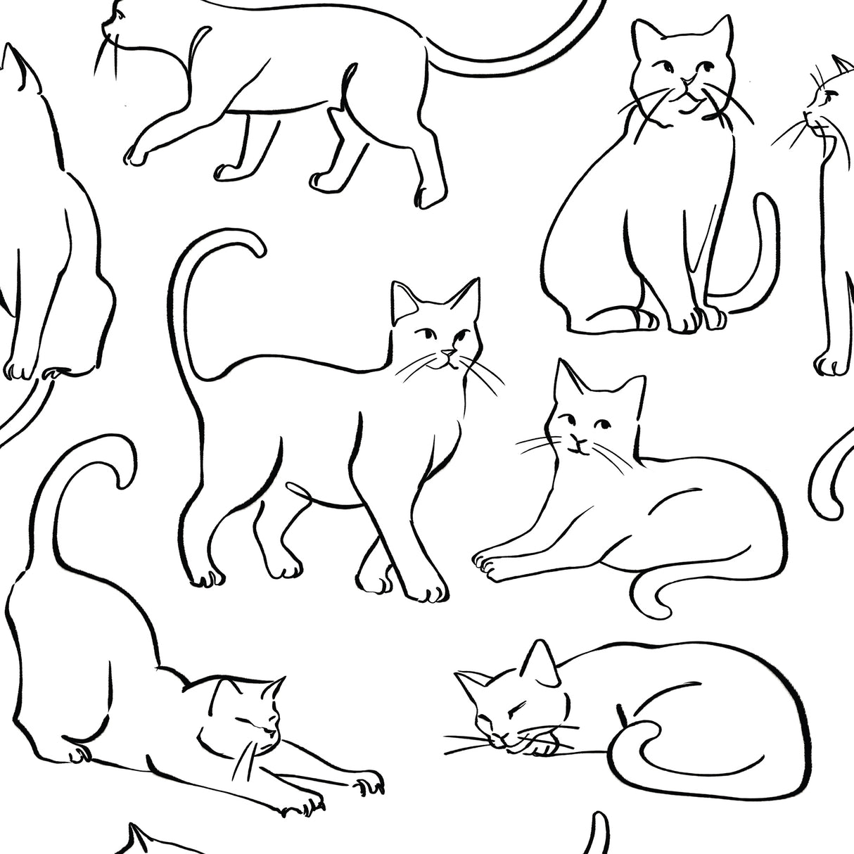 Cat Poses Black and White Peel and Stick Wallpaper by RoomMates RMWS1278