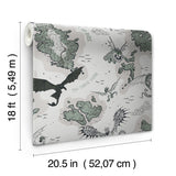 How to Train Your Dragon Isle of Berk Grey by RoomMates DreamWorks Animation Licensed Dragon Map Peel & Stick Wallpaper - RMWS1301