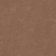 Daphne Limewash Mocha Peel and Stick Wallpaper by RoomMates - RMWS1309