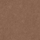 Daphne Limewash Mocha Peel and Stick Wallpaper by RoomMates - RMWS1309
