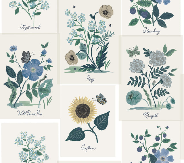 Botanical Prints White & Blue Wallpaper with Vintage Botanical Pinboard Motif - York RP7335