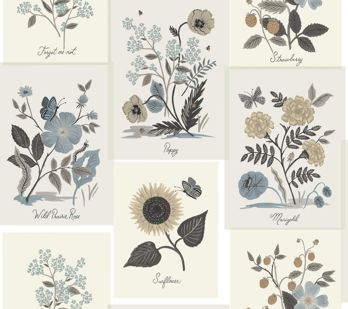 Botanical Prints Beige & Black Wallpaper with Vintage Botanical Pinboard Motif - York RP7336