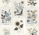 Botanical Prints Beige & Black Wallpaper with Vintage Botanical Pinboard Motif - York RP7336