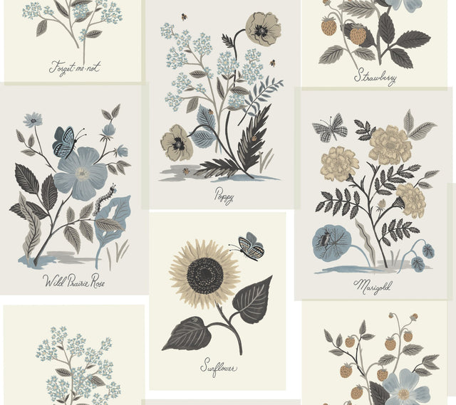 Botanical Prints Beige & Black Wallpaper with Vintage Botanical Pinboard Motif - York RP7336