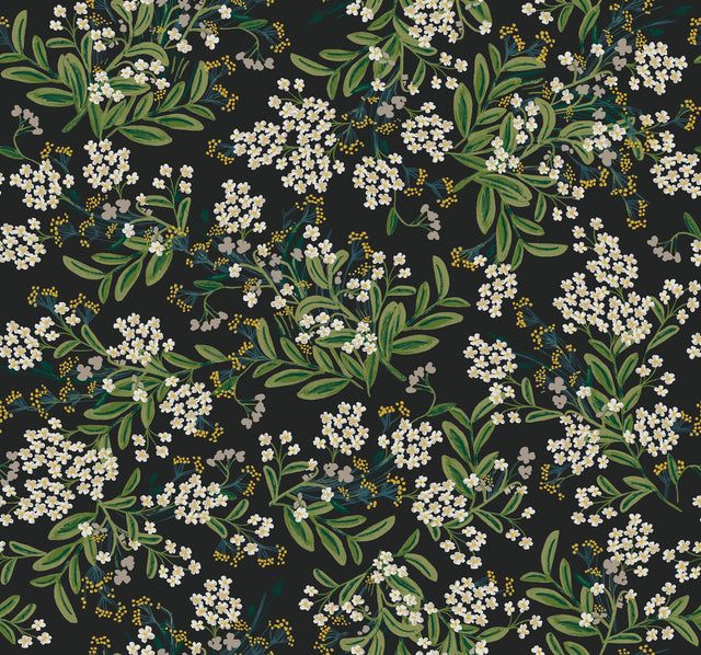 Cornflower Black & Green Wallpaper with Botanical Floral Motif - York RP7384