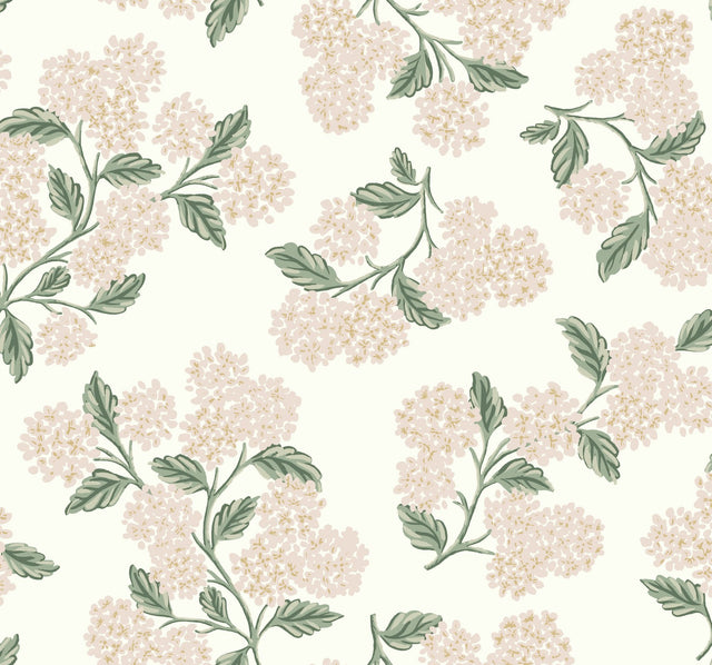 Hydrangea Beige & Pink Wallpaper with Floral Hydrangea Pattern  Rifle Paper Co. Second Edition - York RP7393