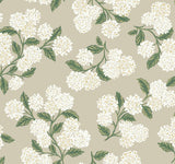 Hydrangea Beige Wallpaper with Floral Hydrangea Motif - York RP7394