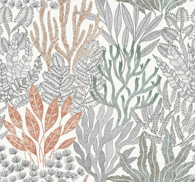 Coral Leaves Coral Black Wallpaper with Modern Toile Sea Botanical Pattern - York RT7801