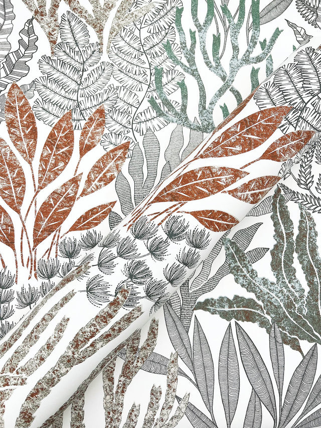 Coral Leaves Coral Black Wallpaper with Modern Toile Sea Botanical Pattern - York RT7801