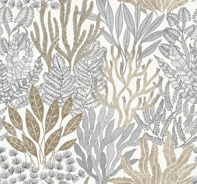 Coral Leaves Taupe & Black Wallpaper with Modern Toile Botanical Pattern - York RT7802