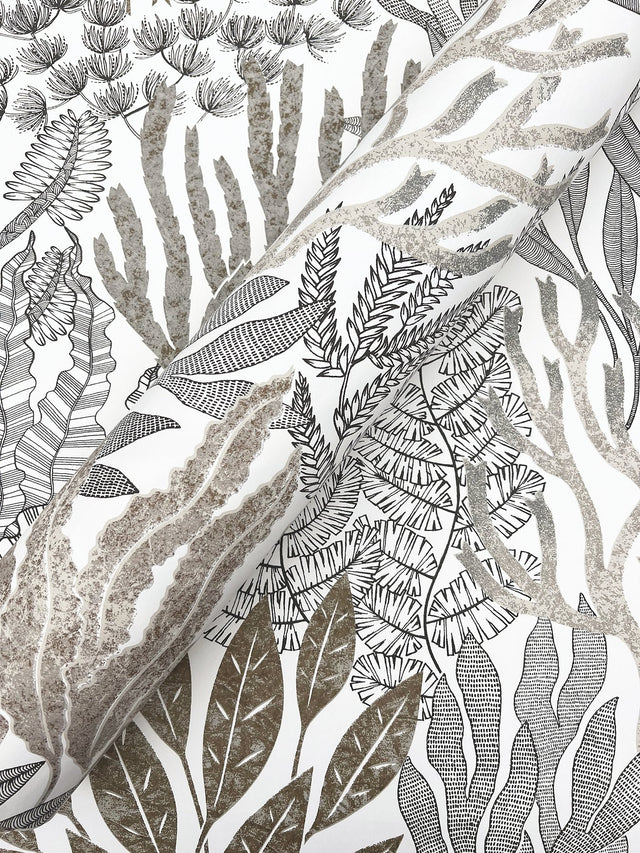Coral Leaves Taupe & Black Wallpaper with Modern Toile Botanical Pattern - York RT7802
