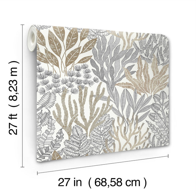 Coral Leaves Taupe & Black Wallpaper with Modern Toile Botanical Pattern - York RT7802
