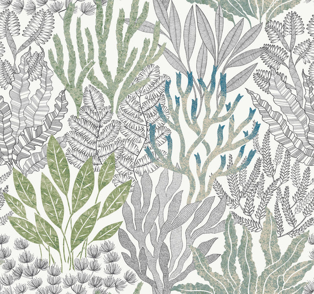 Coral Leaves Blue & Green Wallpaper with Modern Toile Botanical Pattern - York RT7803