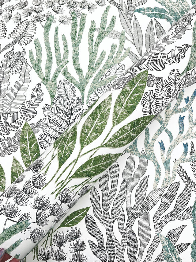Coral Leaves Blue & Green Wallpaper with Modern Toile Botanical Pattern - York RT7803