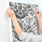 Avian Fountain Toile Black Wallpaper with Classical Toile Pattern - York RT7813