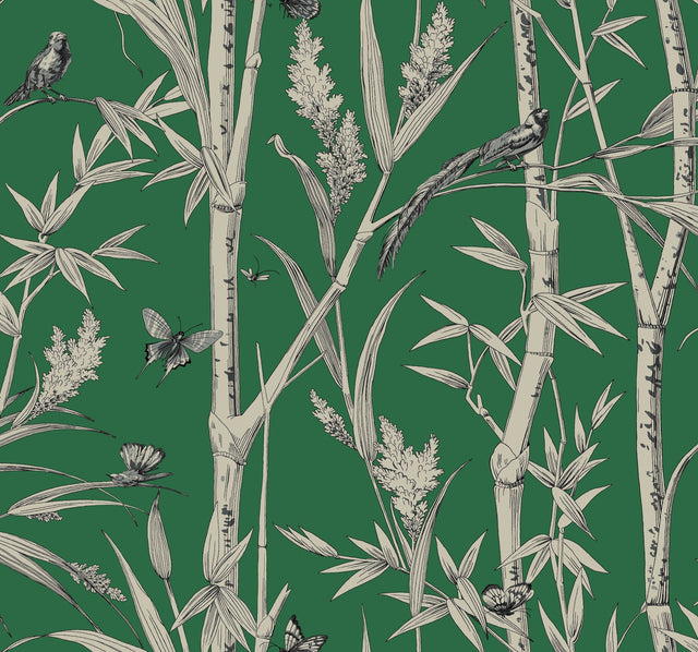 Bambou Toile Green Wallpaper with Botanical Bamboo and Wildlife Motif - York RT7831
