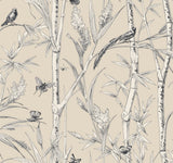 Bambou Toile Beige Wallpaper with Botanical Toile Motif - York RT7832