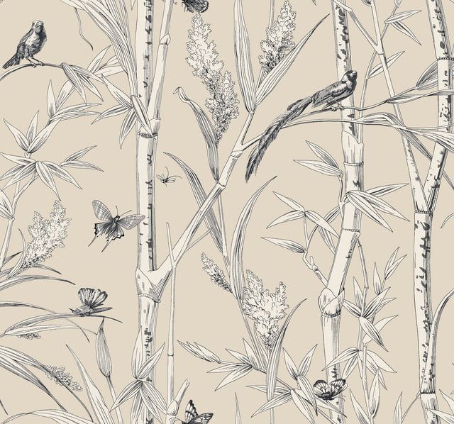 Bambou Toile Beige Wallpaper with Botanical Toile Motif - York RT7832