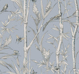 Bambou Toile Sky Blue Wallpaper with Transitional Toile Pattern - York RT7833
