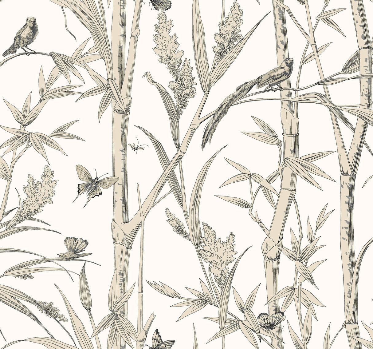 Bambou Toile White Wallpaper with Transitional Toile Pattern - York RT7836