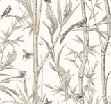 Bambou Toile White Wallpaper with Transitional Toile Pattern - York RT7836