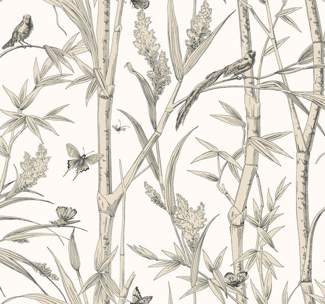 Bambou Toile White Wallpaper with Transitional Toile Pattern - York RT7836