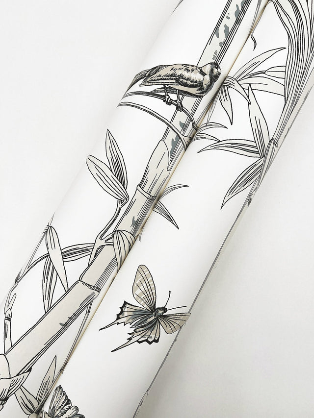 Bambou Toile White Wallpaper with Transitional Toile Pattern - York RT7836