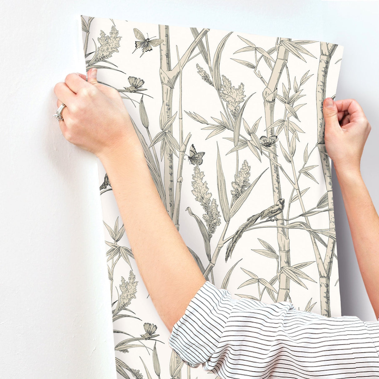 Bambou Toile White Wallpaper with Transitional Toile Pattern - York RT7836