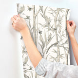 Bambou Toile White Wallpaper with Transitional Toile Pattern - York RT7836