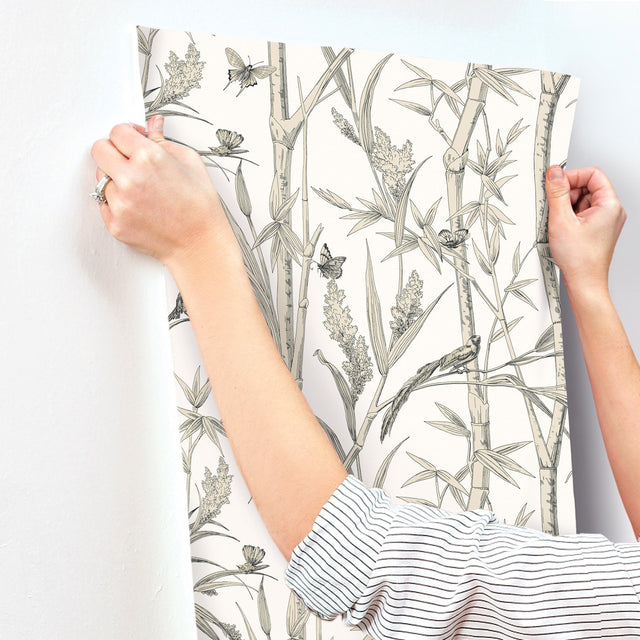 Bambou Toile White Wallpaper with Transitional Toile Pattern - York RT7836