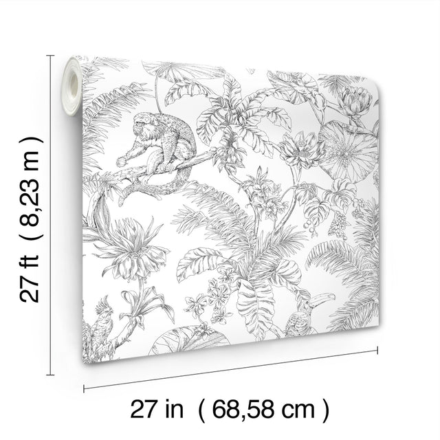 Tropical Sketch Toile Black Wallpaper with Eclectic Toile Pattern - York RT7841