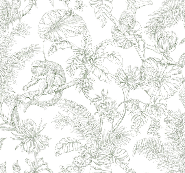 Tropical Sketch Toile Forest Wallpaper with Eclectic Toile Motif - York RT7842