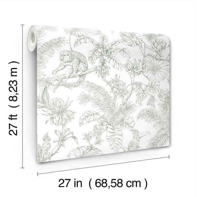 Tropical Sketch Toile Forest Wallpaper with Eclectic Toile Motif - York RT7842