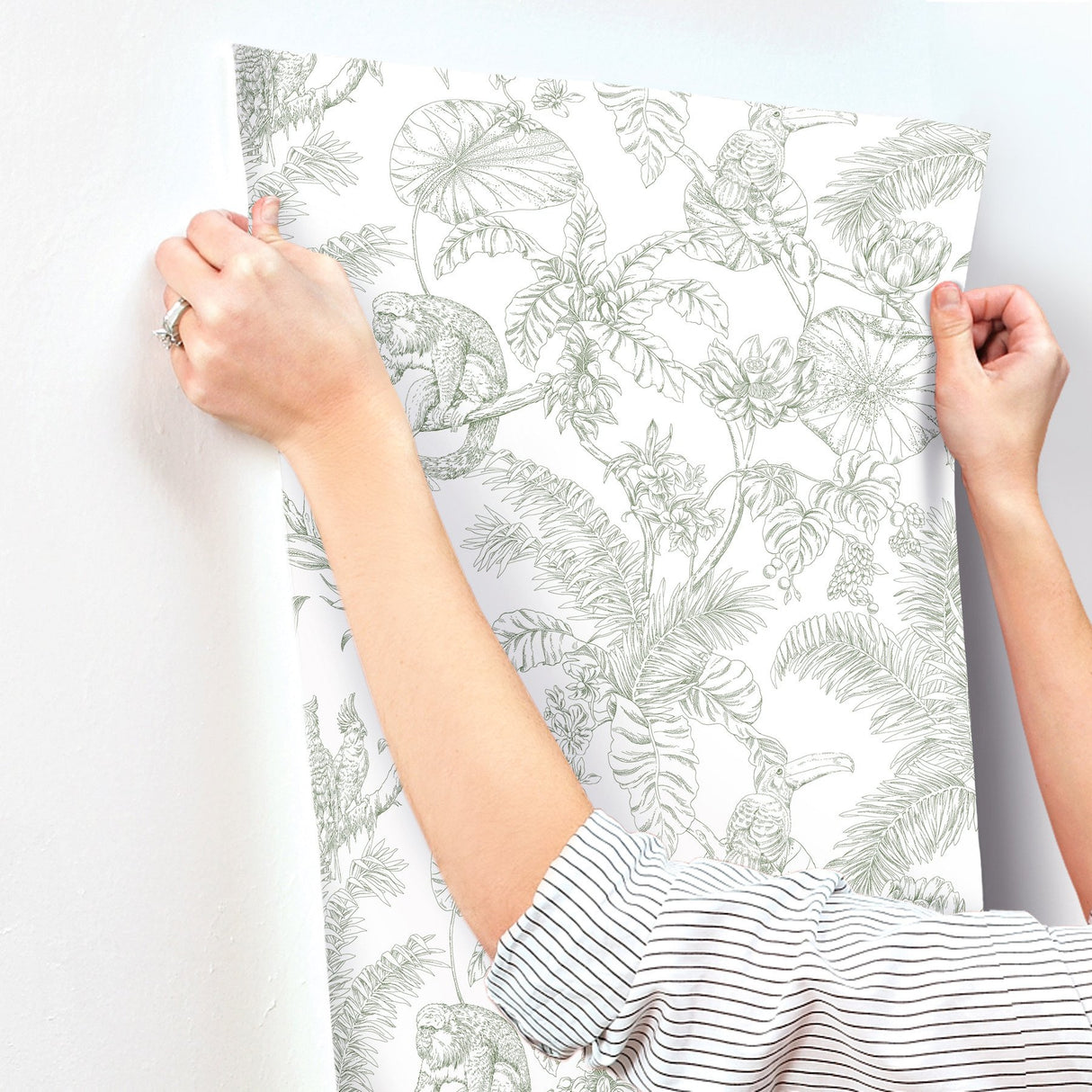 Tropical Sketch Toile Forest Wallpaper with Eclectic Toile Motif - York RT7842
