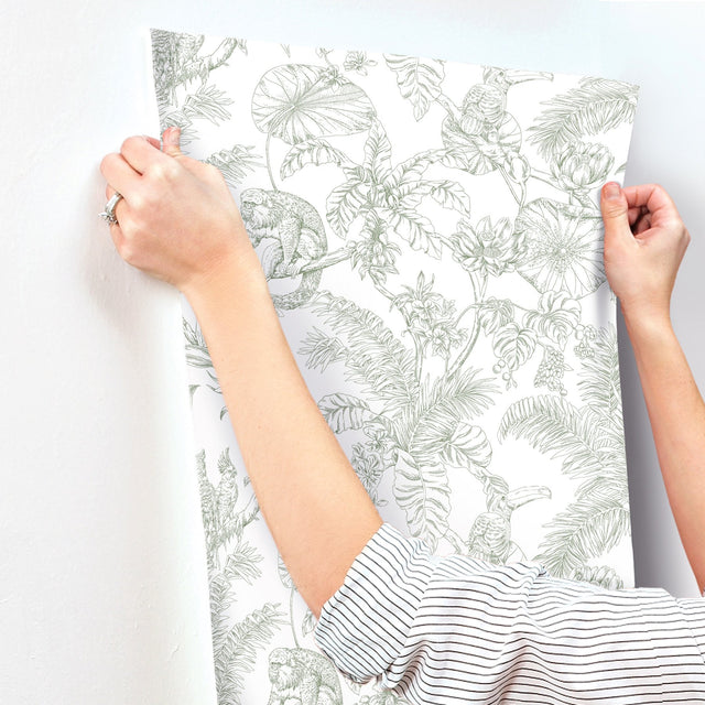 Tropical Sketch Toile Forest Wallpaper with Eclectic Toile Motif - York RT7842