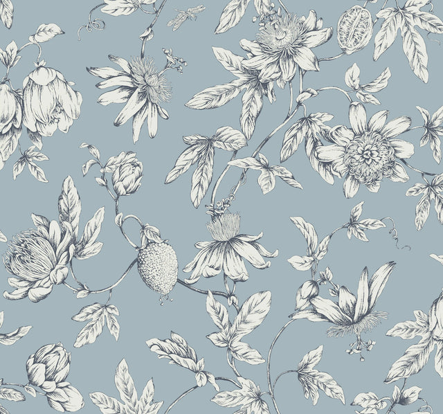Passion Flower Toile Sky Blue Wallpaper with Floral Toile Pattern - York RT7853