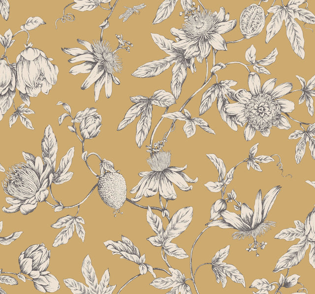 Passion Flower Toile Harvest Wallpaper with Traditional Toile Pattern - York RT7855