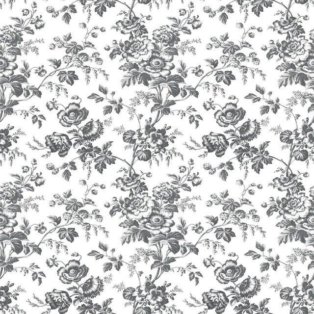 Anemone Toile Black Wallpaper with Traditional Toile Floral Motif - York RT7875