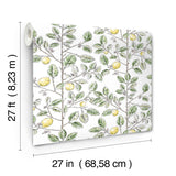 Limoncello Toile Green Wallpaper with Modern Toile Botanical Pattern - York RT7911