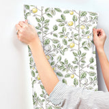 Limoncello Toile Green Wallpaper with Modern Toile Botanical Pattern - York RT7911