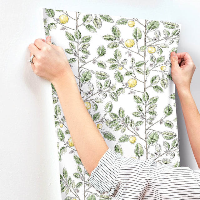 Limoncello Toile Green Wallpaper with Modern Toile Botanical Pattern - York RT7911