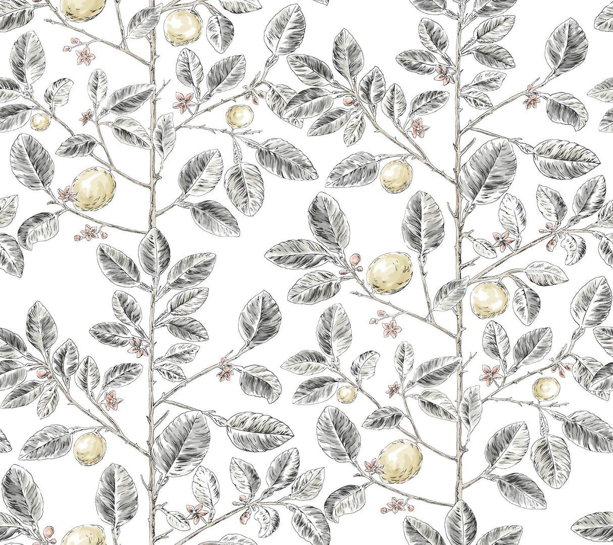 Limoncello Toile Black Wallpaper with Modern Botanical Toile Pattern - York RT7912