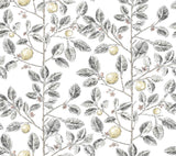 Limoncello Toile Black Wallpaper with Modern Botanical Toile Pattern - York RT7912