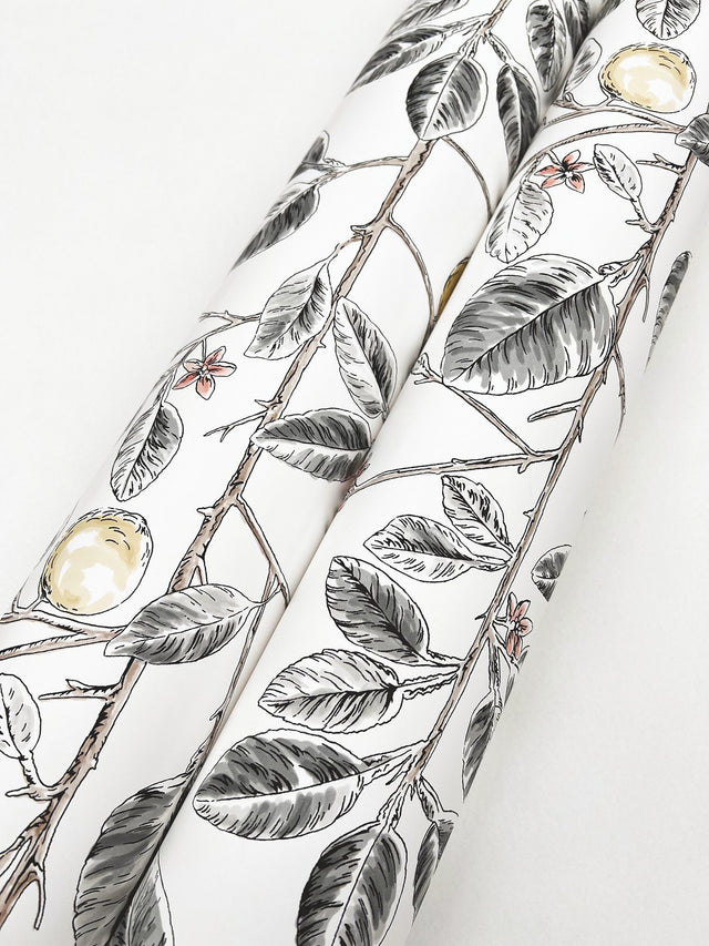 Limoncello Toile Black Wallpaper with Modern Botanical Toile Pattern - York RT7912