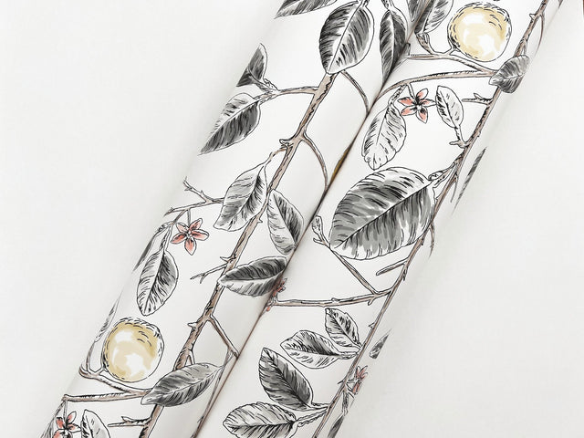 Limoncello Toile Black Wallpaper with Modern Botanical Toile Pattern - York RT7912