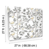 Limoncello Toile Black Wallpaper with Modern Botanical Toile Pattern - York RT7912
