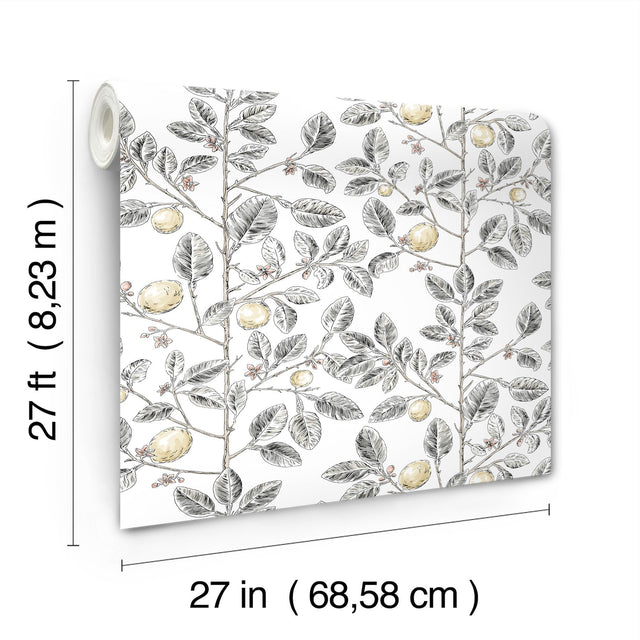 Limoncello Toile Black Wallpaper with Modern Botanical Toile Pattern - York RT7912